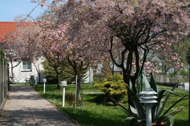 Hotel Zur Linde 2*